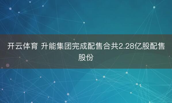 开云体育 升能集团完成配售合共2.28亿股配售股份