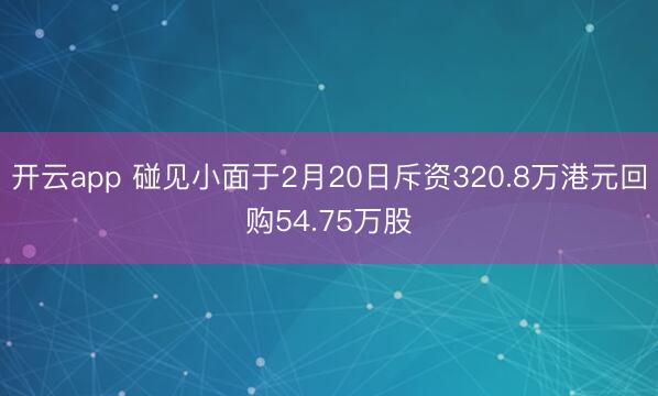 开云app 碰见小面于2月20日斥资320.8万港元回购54.75万股