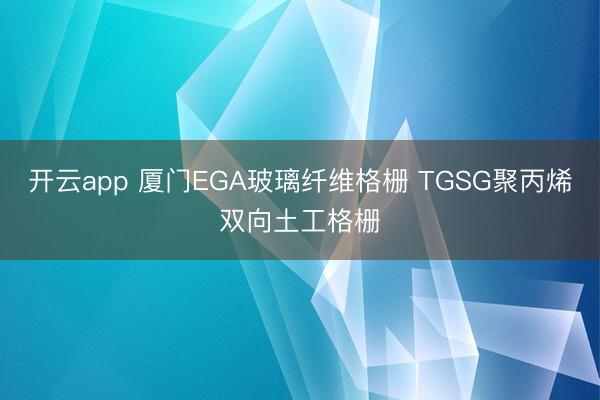 开云app 厦门EGA玻璃纤维格栅 TGSG聚丙烯双向土工格栅