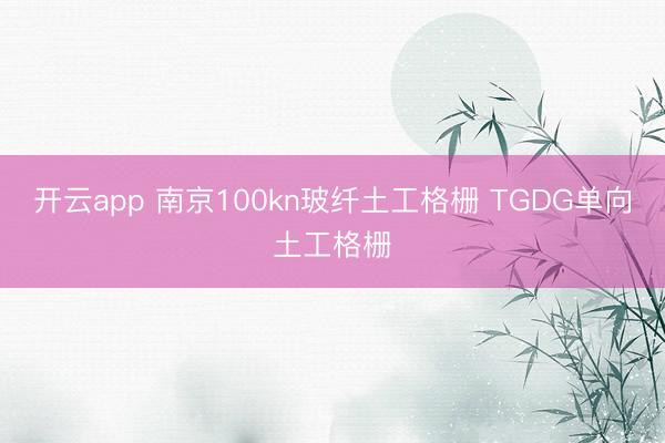 开云app 南京100kn玻纤土工格栅 TGDG单向土工格栅