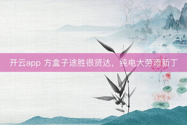 开云app 方盒子途胜很贤达,纯电大劳添新丁