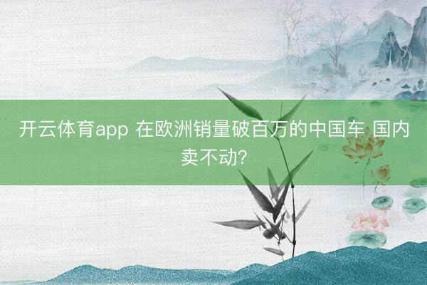 开云体育app 在欧洲销量破百万的中国车 国内卖不动？