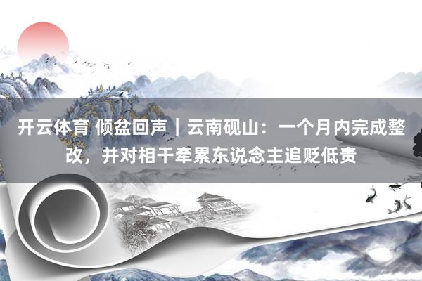 开云体育 倾盆回声｜云南砚山：一个月内完成整改，并对相干牵累东说念主追贬低责