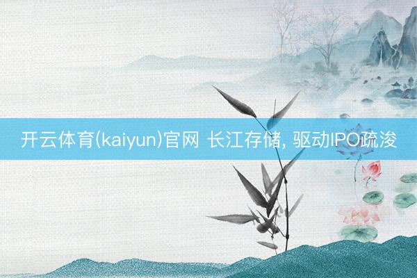 开云体育(kaiyun)官网 长江存储, 驱动IPO疏浚