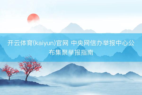 开云体育(kaiyun)官网 中央网信办举报中心公布集聚举报指南