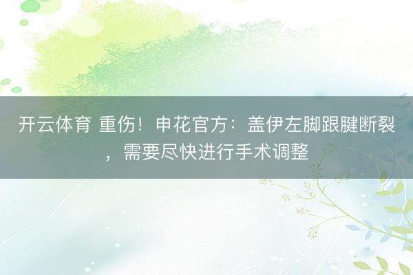 开云体育 重伤！申花官方：盖伊左脚跟腱断裂，需要尽快进行手术调整