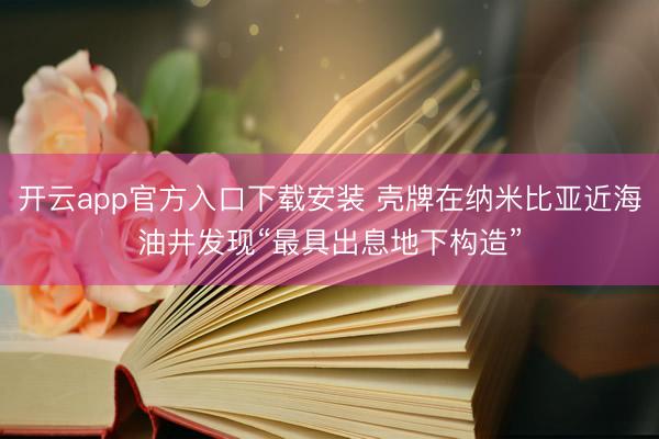 开云app官方入口下载安装 壳牌在纳米比亚近海油井发现“最具出息地下构造”
