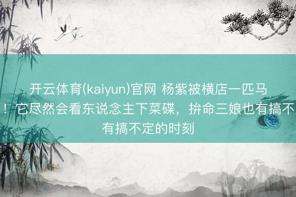 开云体育(kaiyun)官网 杨紫被横店一匹马整崩溃了！它尽然会看东说念主下菜碟，拚命三娘也有搞不定的时刻