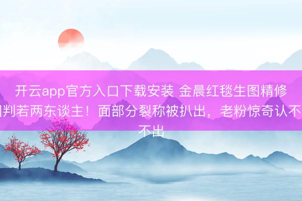 开云app官方入口下载安装 金晨红毯生图精修图判若两东谈主!面部分裂称被扒出,老粉惊奇认不出